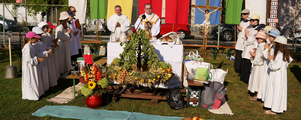 Du betrachtest gerade Erntedankfest